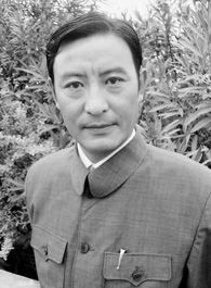 飞刀又见飞刀段八方/段九江的扮演者介绍、是谁演的？