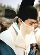 女医明妃传程村霞的扮演者介绍、是谁演的？