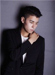 风云再起之再战江湖木的扮演者介绍、是谁演的？