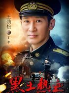 黑土热血丁丰的扮演者介绍、是谁演的？