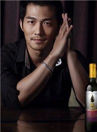 舒克与桃花张辉的扮演者介绍、是谁演的？