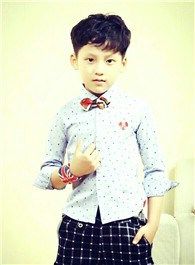 国士无双黄飞鸿黄小武的扮演者介绍、是谁演的？