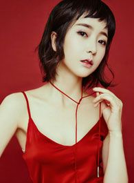 最后的武林飞燕的扮演者介绍、是谁演的？