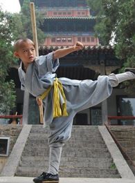 天真派杨门女将杨安的扮演者介绍、是谁演的？