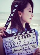 亲密的搭档沈安的扮演者介绍、是谁演的？