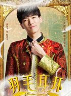 羽毛耳环陈汉文的扮演者介绍、是谁演的？