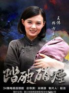 踏破硝烟方主任的扮演者介绍、是谁演的？