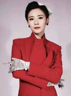 南拳北腿战淞沪凌岚的扮演者介绍、是谁演的？