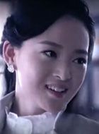 山河同在张婉婷的扮演者介绍、是谁演的？