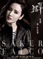 猎隼叶欣妍的扮演者介绍、是谁演的？