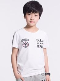 霍去病传奇苏儿的扮演者介绍、是谁演的？