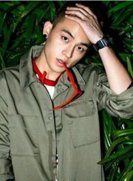 刑警的日子刘子明的扮演者介绍、是谁演的？